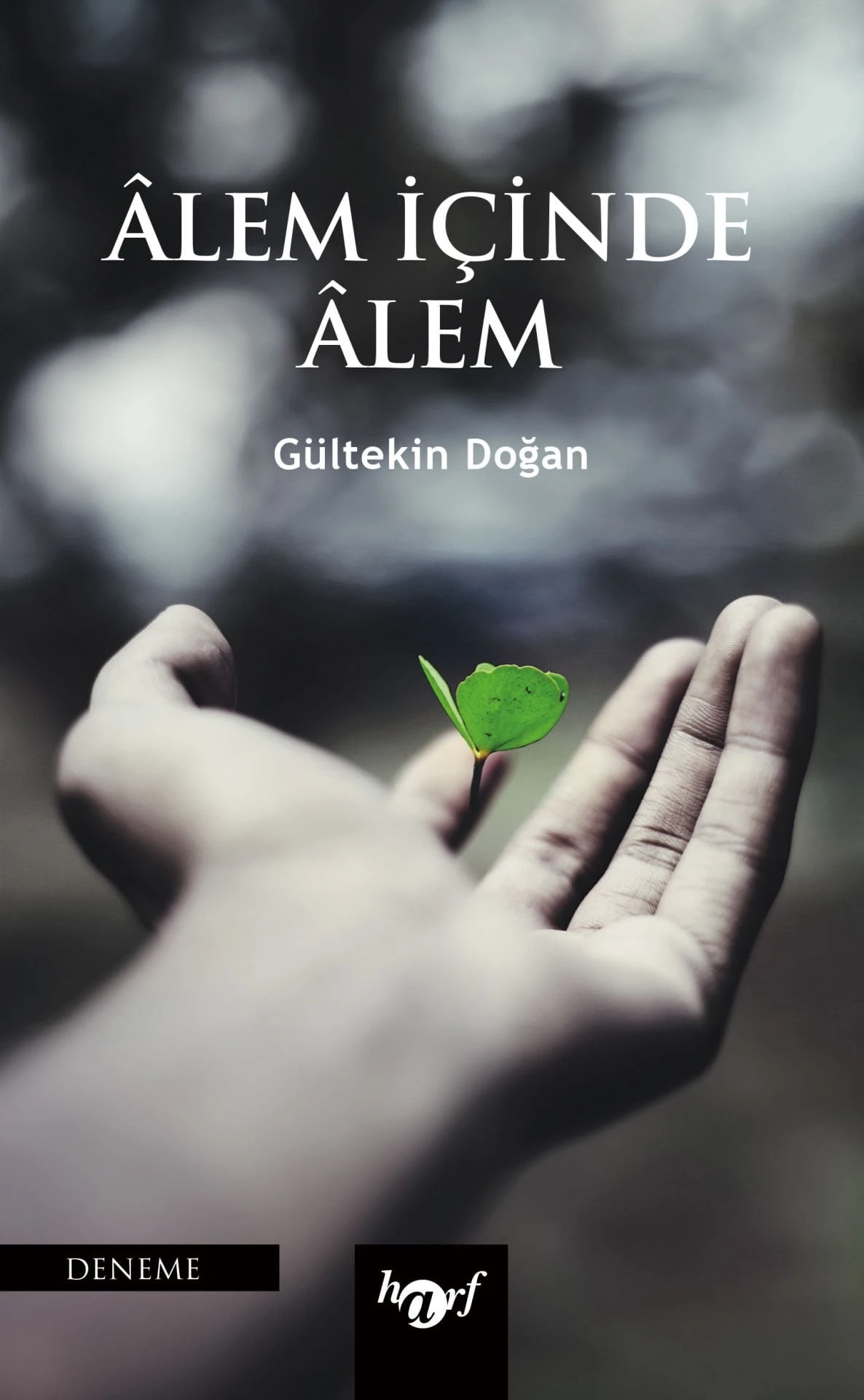 Profesyonel Koçların Kitapları 31